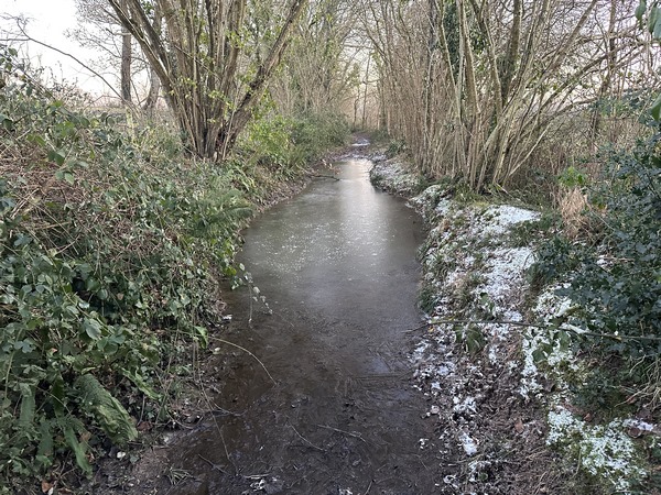 Voilà un exemple de ce qui attend les randonneurs en période humide. Le gel nous évite de patauger ce matin, et un passage sur la droite nous dispense de tout risque.
