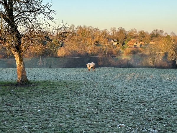 Le soleil rasant d'hiver illumine le vallon sur notre gauche.