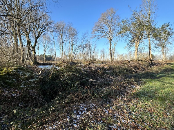 Nous passons sur la Mouillère, ancienne voie romaine qui reliait Pennedepie à Brionne, puis longeons le Catillon, ancien fort gallo-romain, invisible au profane.