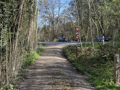 Je traverse à nouveau la D6015, et ferme la boucle par la route forestière de Cobourg.