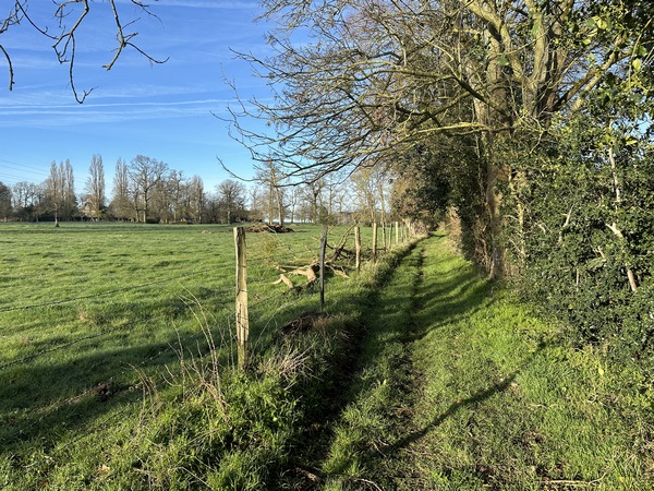 Nous longeons la Cavée du Renard, en direction de la route du même nom.