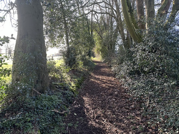 Nous arrivons près de la D91. Nous la traverserons pour continuer en face.