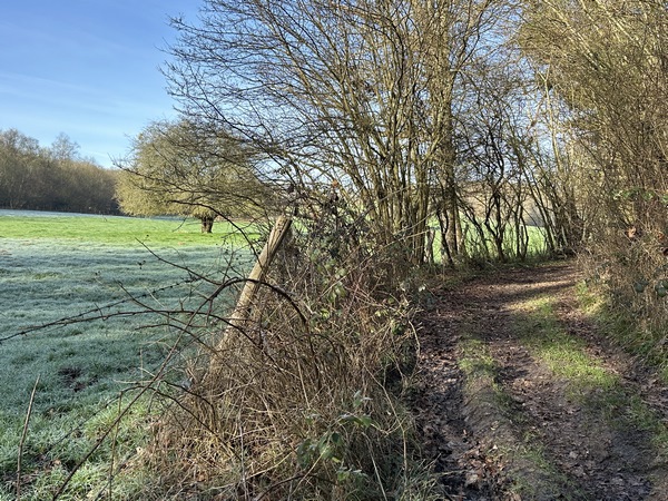 Le chemin des Longues Vallées serpente entre bois et plaine au fond du vallon.
