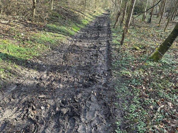 Sur une partie encaissée du vallon, le terrain devient un peu lourd, mais il faut dire que l'hiver a été particulièrement pluvieux.