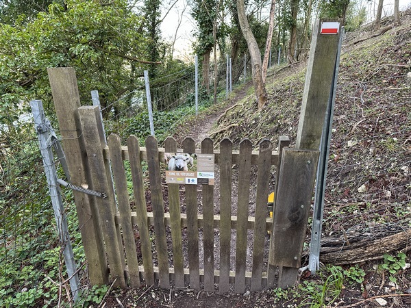 Des passages à piétons nous rappellent que les coteaux sont entretenus par des moutons, mais c'est l'hiver, ils sont à la bergerie.