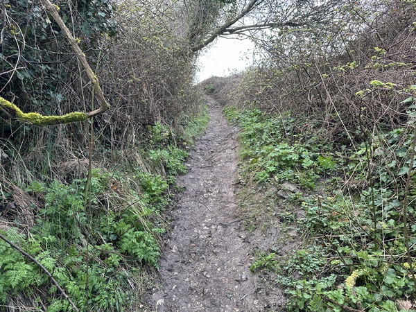Je continue sur la côte Sainte-Catherine.
