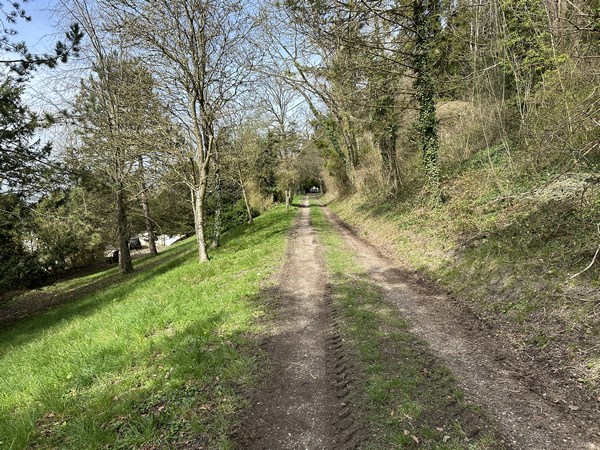 Le parc Lacoste appartient à la commune d'Amfreville-la-Mi-Voie. Il couvre le bois entre Amfreville et Le Mesnil-Esnard.