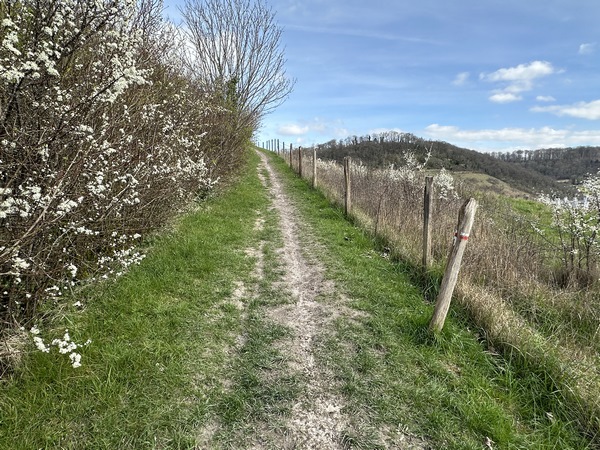 La sente du Mont Auger est un très agréable chemin qui domine le vallon des Mallefranches.