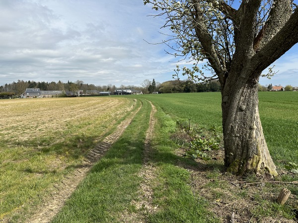 Nous tournons vers Quévreville sur le Chemin du Facteur.