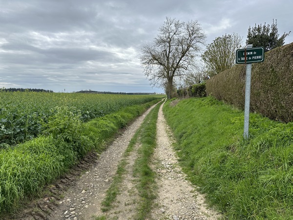 La rue des Vatines se prolonge avec ce chemin de la Table de Pierre, ancienne voie d'accès ouest du village, avant la création de la D43.