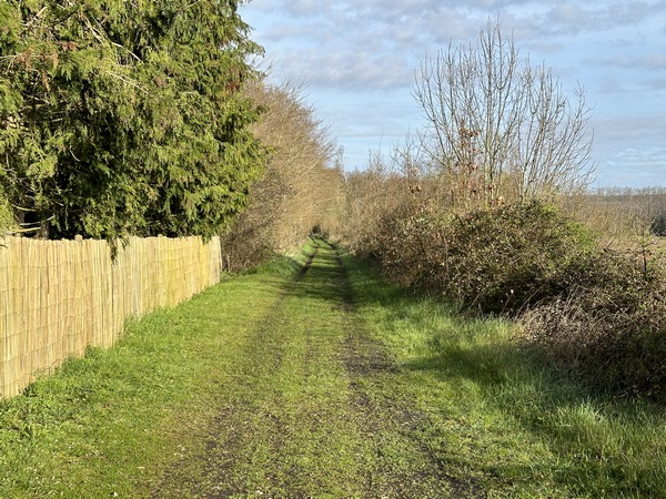 Je marche maintenant sur l'ancienne voie ferrée, en direction des étangs de Saint-Ouen.