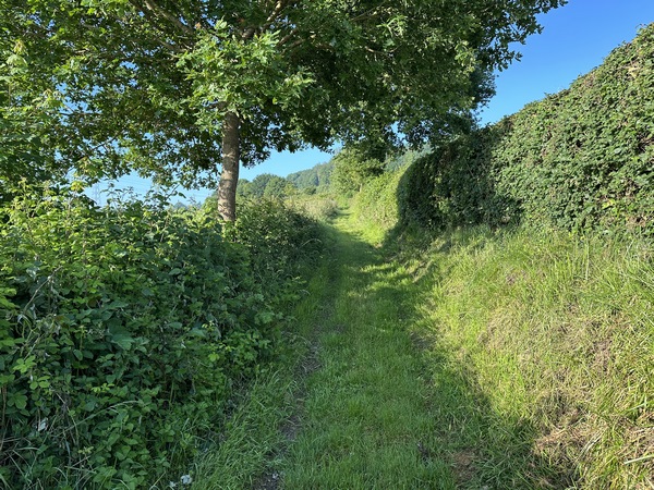 Je monte maintenant le chemin qui rejoint le hameau de la Courellerie.