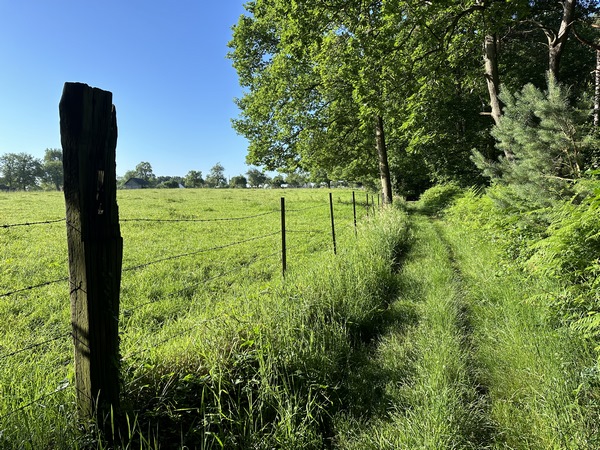 On peut distinguer les premières maisons de la Vorillonnerie. Le circuit va tourner sur le chemin des Sarrasins avant d'atteindre la route de la Thillaye.