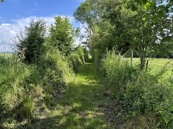 Un chemin permet d'entrer dans Condé en évitant les routes.
