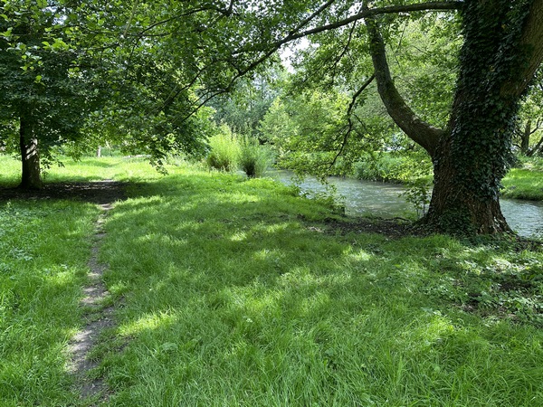 L'entrée de l'étang municipal se fait le long d'un bras de la Risle.