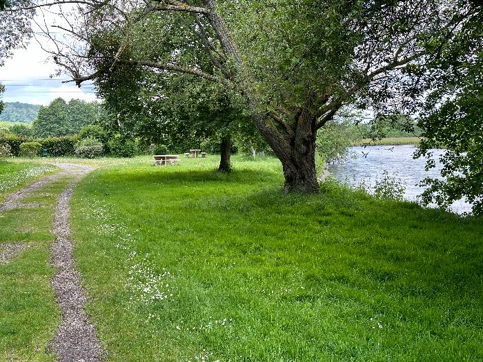 Un espace de pique-nique est aménagé près du lit principal de la Risle, non loin du parking.