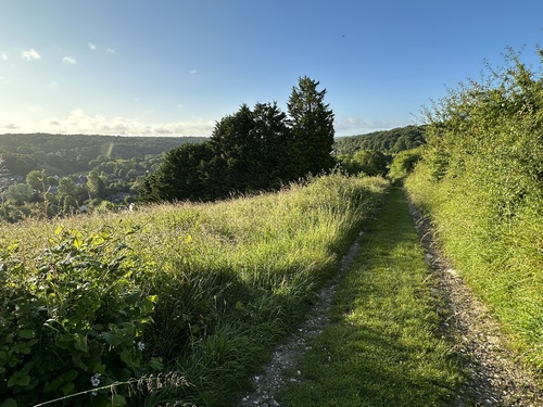 Le parking Visiteurs se trouve sur la Côte de Grellemonts qui devient un chemin peu après le départ.