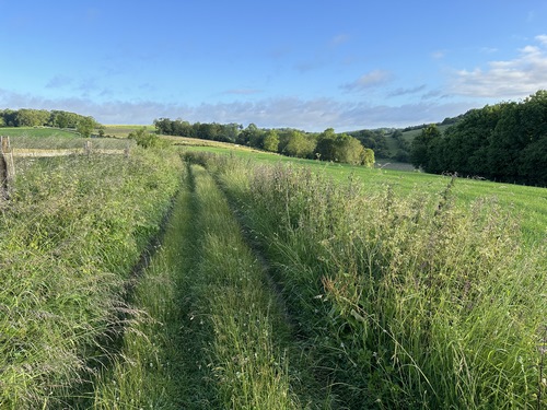 Chemin de la Côte de Grellemonts.