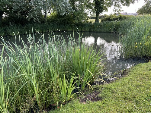 Mare du hameau de l'Epinay.