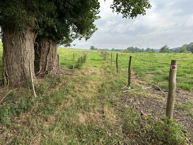 Un chemin a été aménagé entre les champs et les prairies au nord de Fontaine-le-Dun.&nbsp;