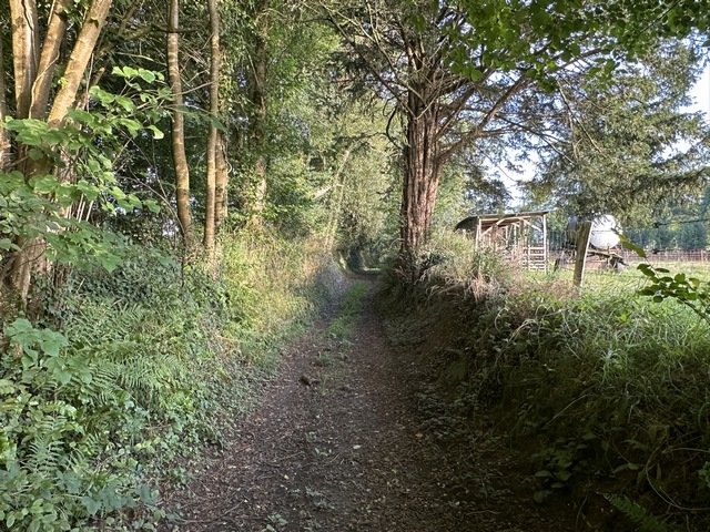 Peu après la sortie du bourg, nous sommes sur notre premier chemin.