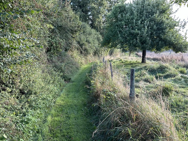 Chemin de Morsan, non loin du lieu-dit l'Epine à la Dame.