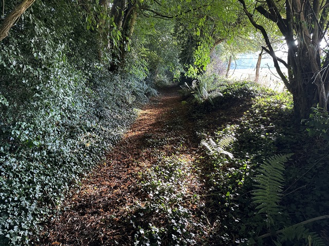 Nous entrons dans ND-d'Epine par les chemins.