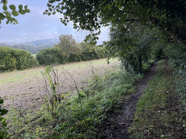 Le Chemin des Randonneurs s'ouvre de temps en temps sur la vallée qu'il domine. Nous sommes partis tôt, et la brume matinale ne permet pas de profiter vraiment de la vue sur la vallée.