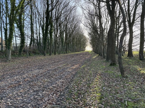 Nous contournons le parc du château, en suivant ici l'une de ses anciennes allées.