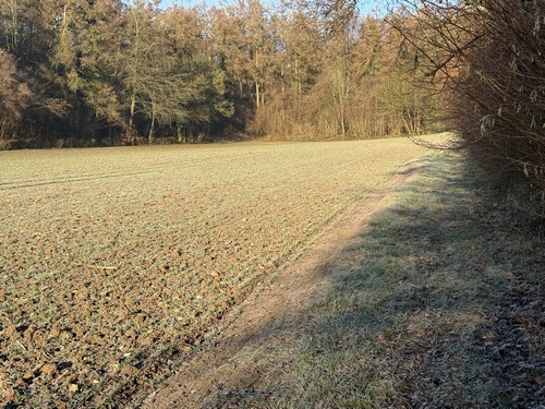 Notre premier chemin longe le Fond Richard et monte vers le Mont de Beaussault.