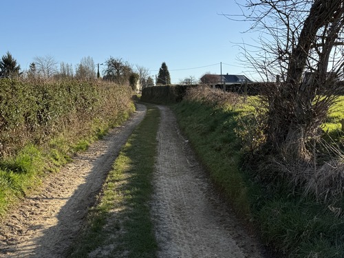 Nous arrivons au Bosc-Régnier. Avant d'entrer dans le hameau, nous allons prendre la première petite route à droite.