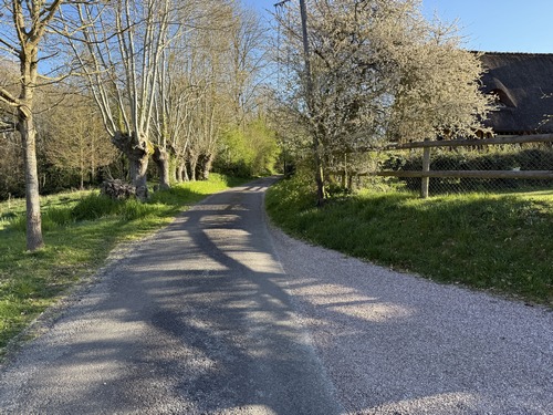 Nous marchons sur la petite route du hameau de la Côte à Loup, avec à gauche les bois du coteau de la vallée.