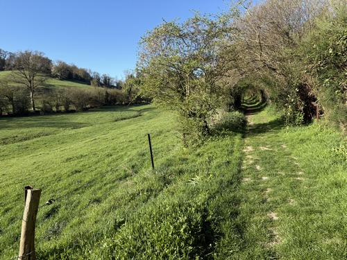 Nous traversons Fort-Moville et continuons sur ce délicieux chemin qui domine le vallon du ruisseau de la fontaine Vannier. Ce chemin est agrémenté de panneaux d'informations sur la faune et flore locale.