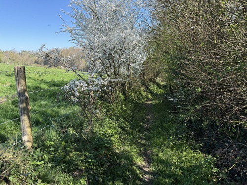 Nous arrivons sur le chemin de la Fontaine Domin.