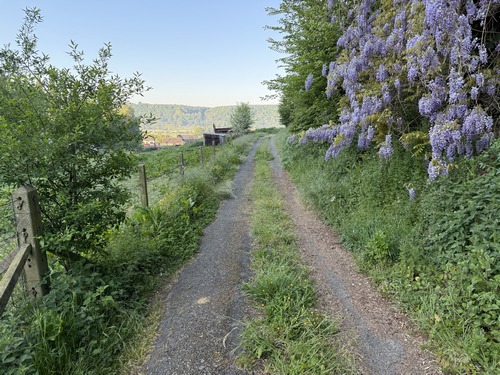 Le chemin des Fougères est un chemin qui avance en balcon au-dessus de la vallée de la Risle.