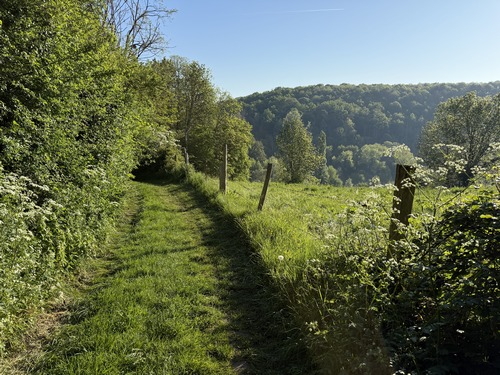 Nous arrivons sur l'un des nombreux et très agréables chemins de ce circuit.