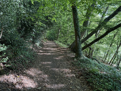 Autour de Corneville, le terrain est très vallonné avec, comme toujours, des bois préservés dans pentes.