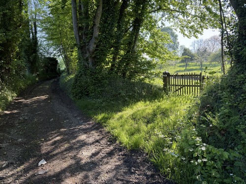 Nous tournons vers l'est en direction du hameau de la Prévôté. Il y a de rares passages boueux (voir l'album de la rando), mais il est toujours possible d'éviter de patauger.
