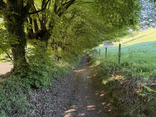 Sortie du bois du Hamel&nbsp; près du hameau Thomas.