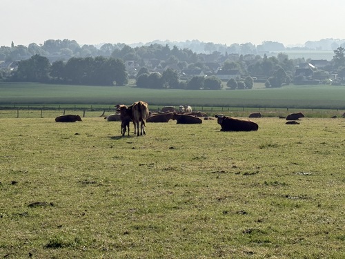 Paysages sereins de la rue de Chasse à Goupillières.