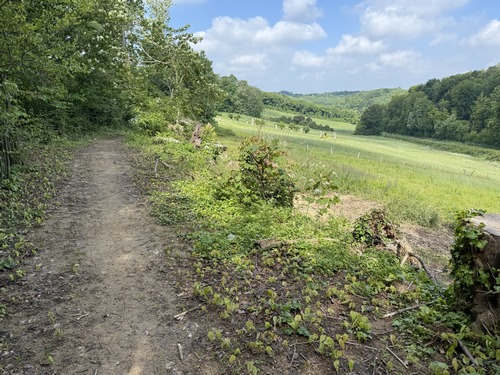 Nous avons retrouvé le GR212 qui domine ici le vallon de Grosfy.