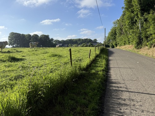 Le circuit est essentiellement constitué de petites routes tranquilles et souvent même désertes.