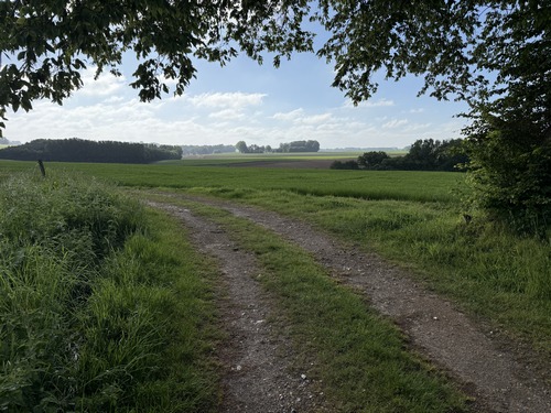 Premier chemin près du hameau du Torcy.