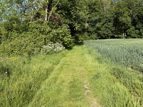 Le chemin longe des bois en approchant du hameau de la Foye.