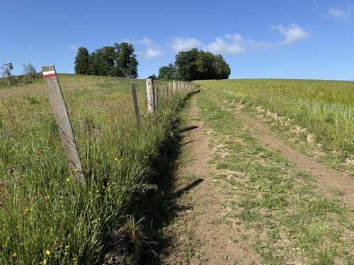 Je m'éloigne du bois et continue vers Sorquainville. On voit à gauche une balise du GR211b.