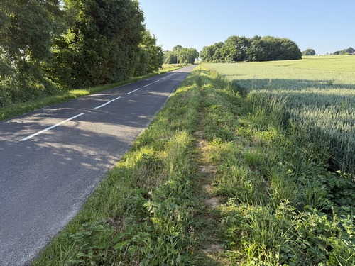 Petit passage sur la D7 jusqu'au bosquet en face. Une coulée est tracée sur le talus et évite de marcher sur la route.