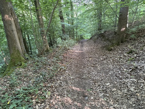 Cet agréable chemin traverse le coteau boisé et descend directement au centre de St-Aubin-la-Rivière (St-Aubin-Epinay).