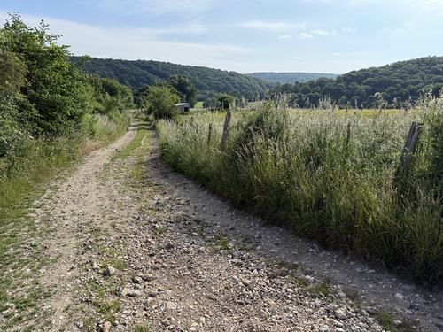 A Epinay, nous remontons vers Franqueville. Regard arrière vers la vallée et ses coteaux boisés.