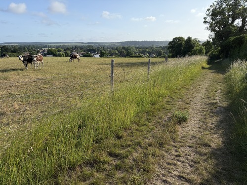Regard arrière en montant sur la colline.