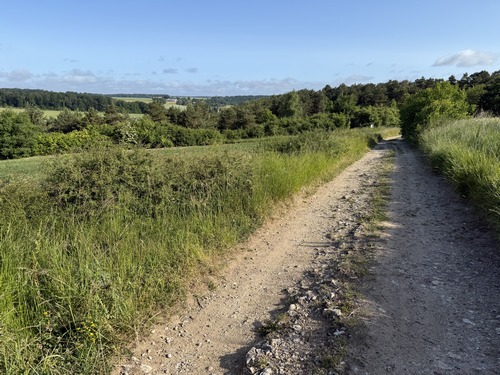 Paysages vallonnés des collines de l'Eure. En face de nous se trouve le Bois des Folies, récemment aménagé en Sentier Botanique.